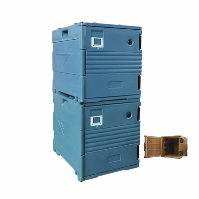 Caixa de transporte de alimentos isolada Mantenha a temperatura dos alimentos com cor personalizada