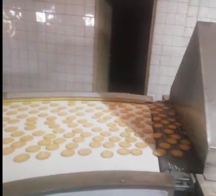 110/220 Transportador de poupança energética Forno de túnel pequeno para biscoitos e omeletes de ovos