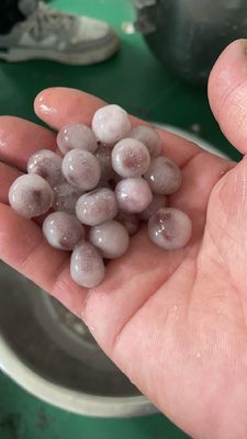 Máquina de fabricação de bolhas de chá de bolha comercial 220V