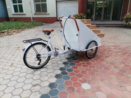 Video Suporte Técnico Caminhão de lanches de comida personalizado bicicleta elétrica para carrinho de comida quente