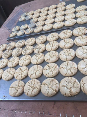 Máquina de processamento de biscoitos e biscoitos industriais com função multifuncional