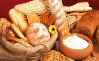 Função automática de cozimento de pão Pita Forno de convecção rotativo de gás elétrico diesel 50,5kw