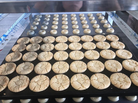 Fabricante industrial de biscoitos multifuncional com funcionalidade multifuncional