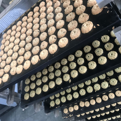 Máquina de fabricação de biscoitos de nozes moles totalmente automática com diferentes capacidades de produção