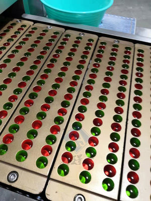 50kg/h Máquina de fazer amortecedores suaves Automática de moldagem de doces de ursinho de goma de Xangai