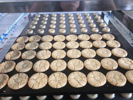 Máquina de fazer biscoitos à base de vegetais para a produção de biscoitos de manteiga crocante